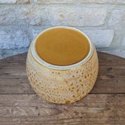 Vintage stoneware salad bowl from Niderviller, Fauve model, 1960s/70s, 24.5cm.