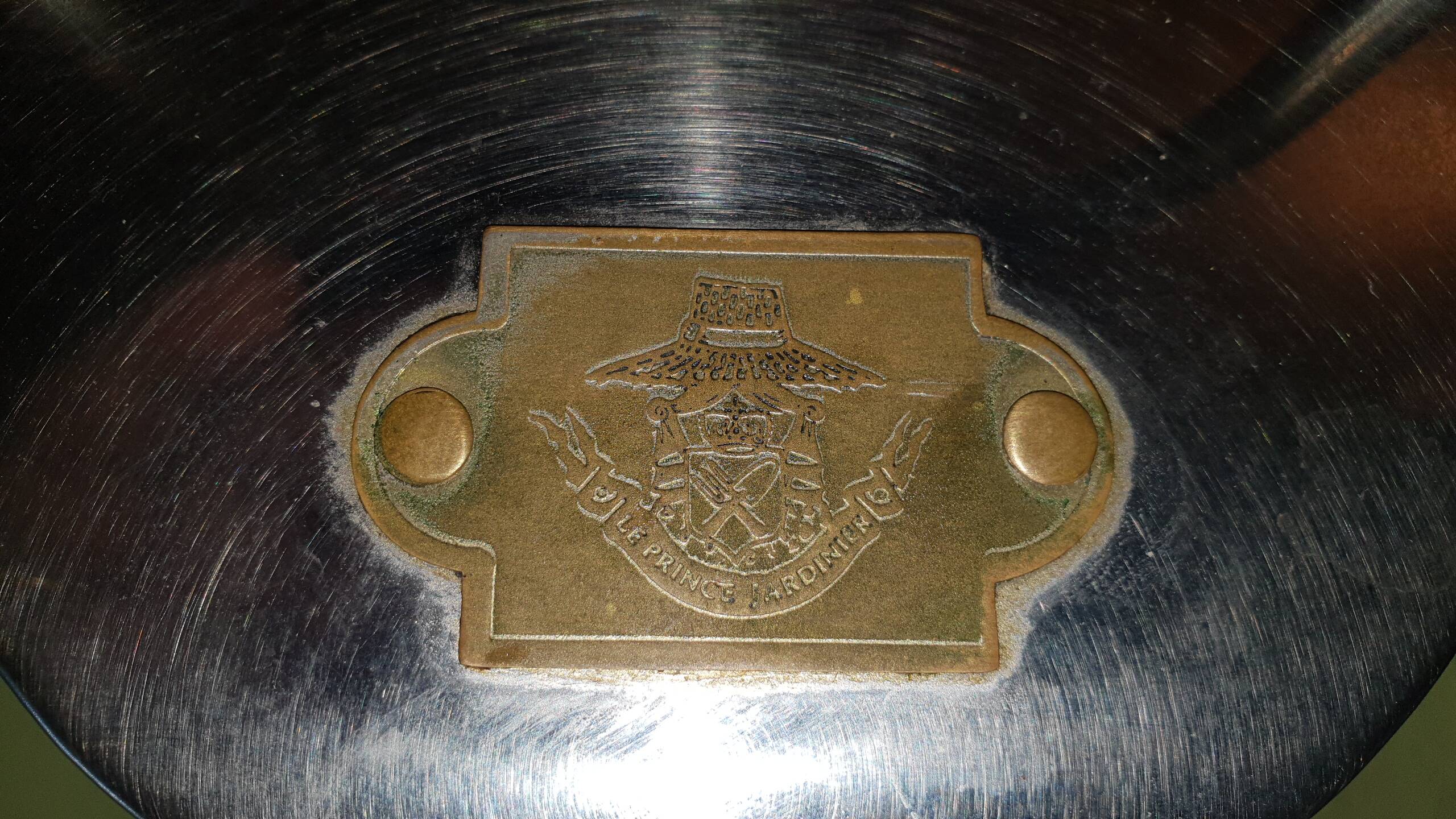 Galvanized stainless steel sprinkler and brass