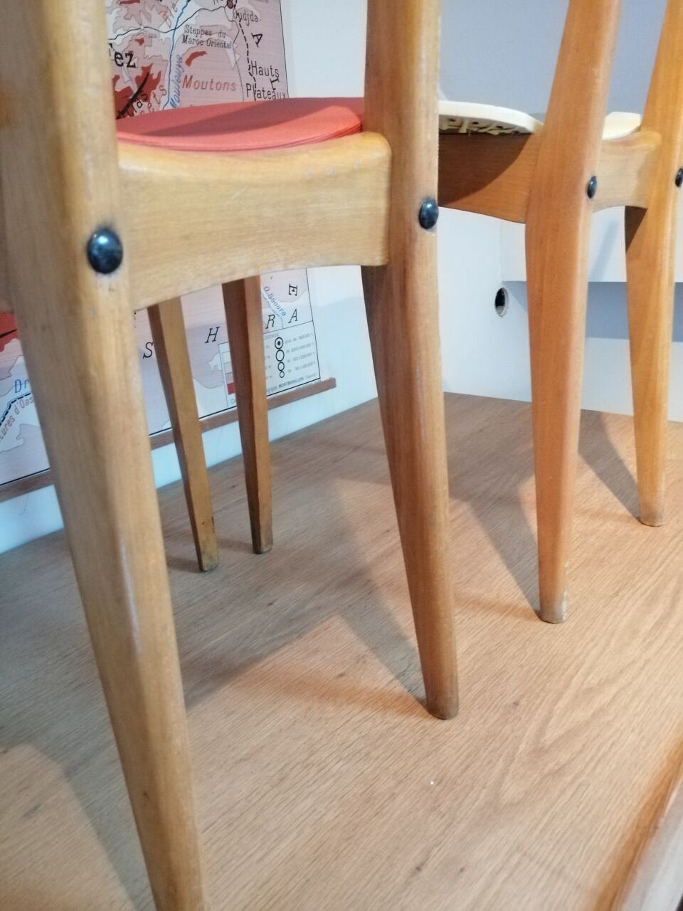 Vintage chairs from the 1950s "Stella"