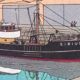 Tintin - Model of the Sirius Boat - The Treasure of Rackham the Red 60 cm wood