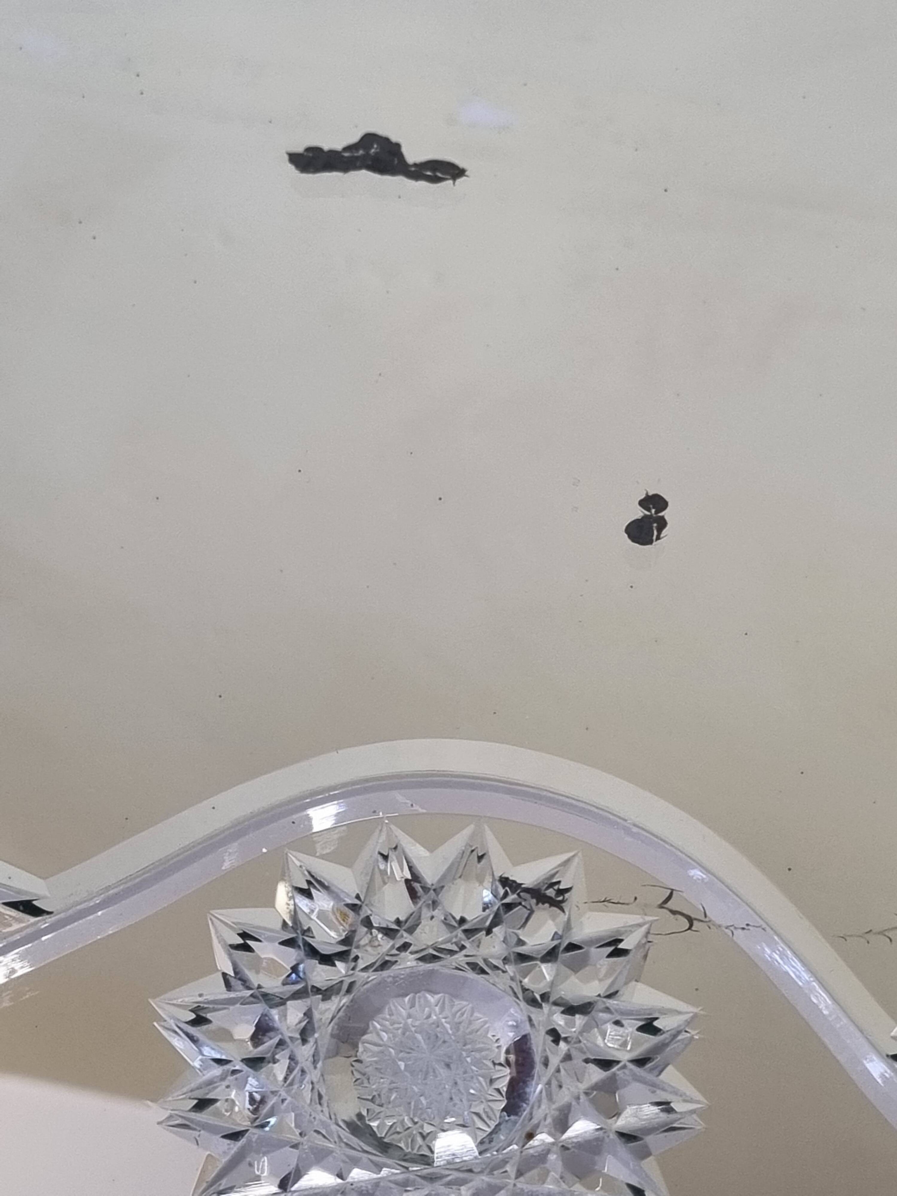 Large vintage Venetian style engraved mirror, 81 x 53 cm, 1950