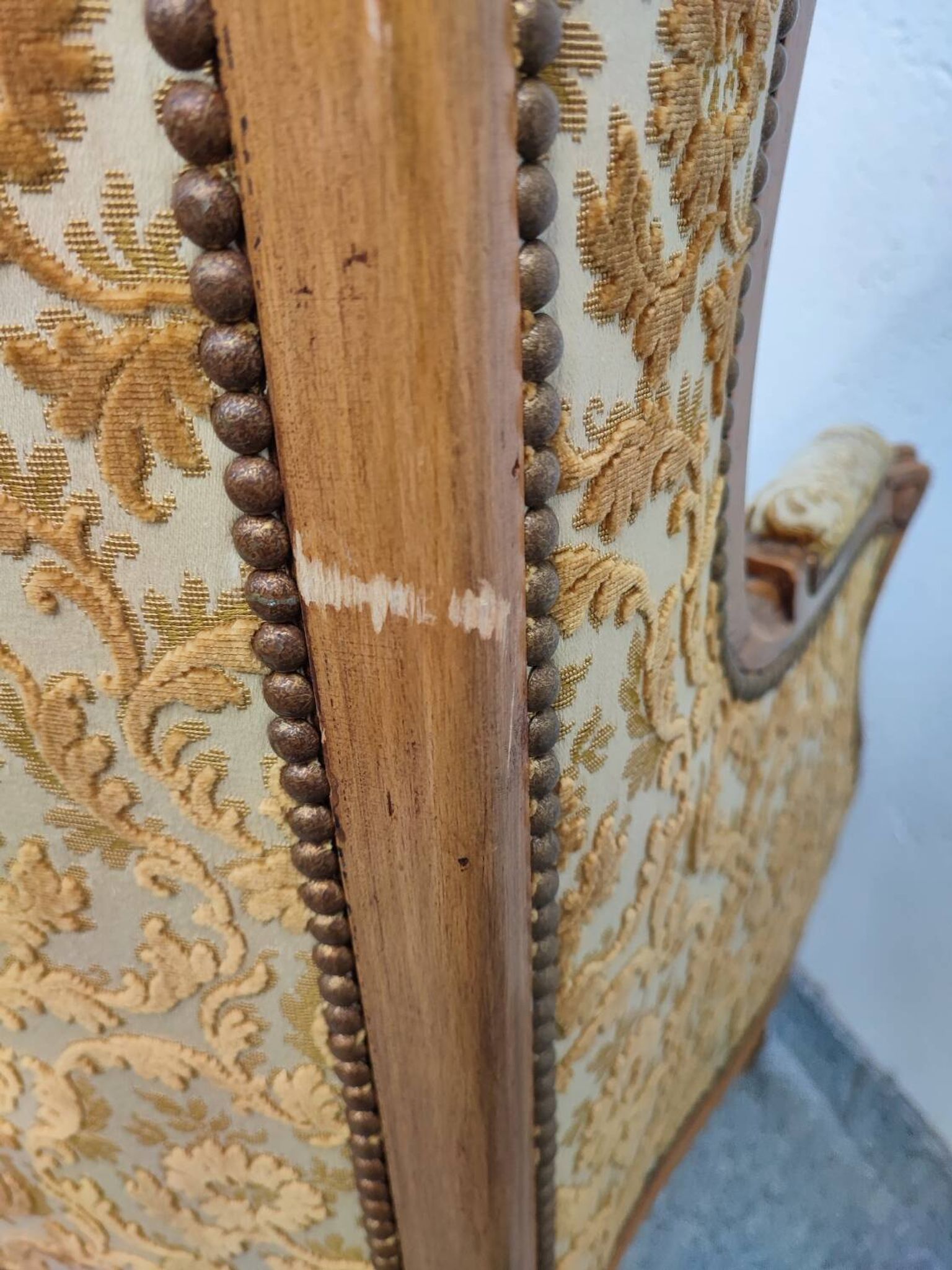 Grande bergère à oreilles