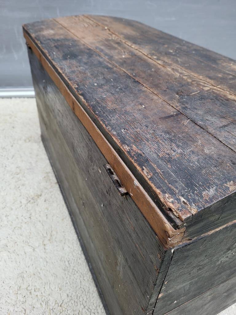 Pine trunk with blackened wood patina