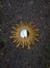 Mid-century style gold resin witch's eye sunburst mirror
