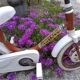 Vintage children's bike brand Dino