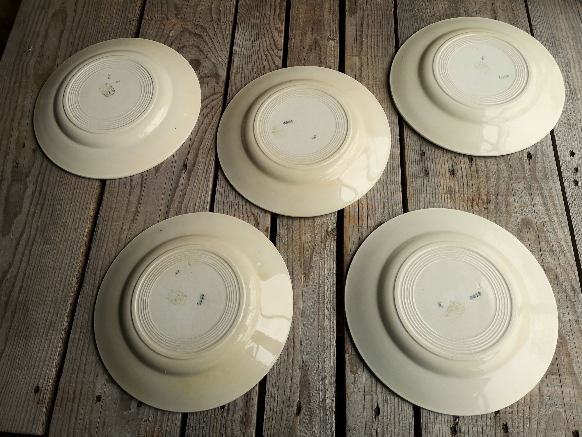 Lot of 5 old ceramic flat plates of Saint Amand green edry