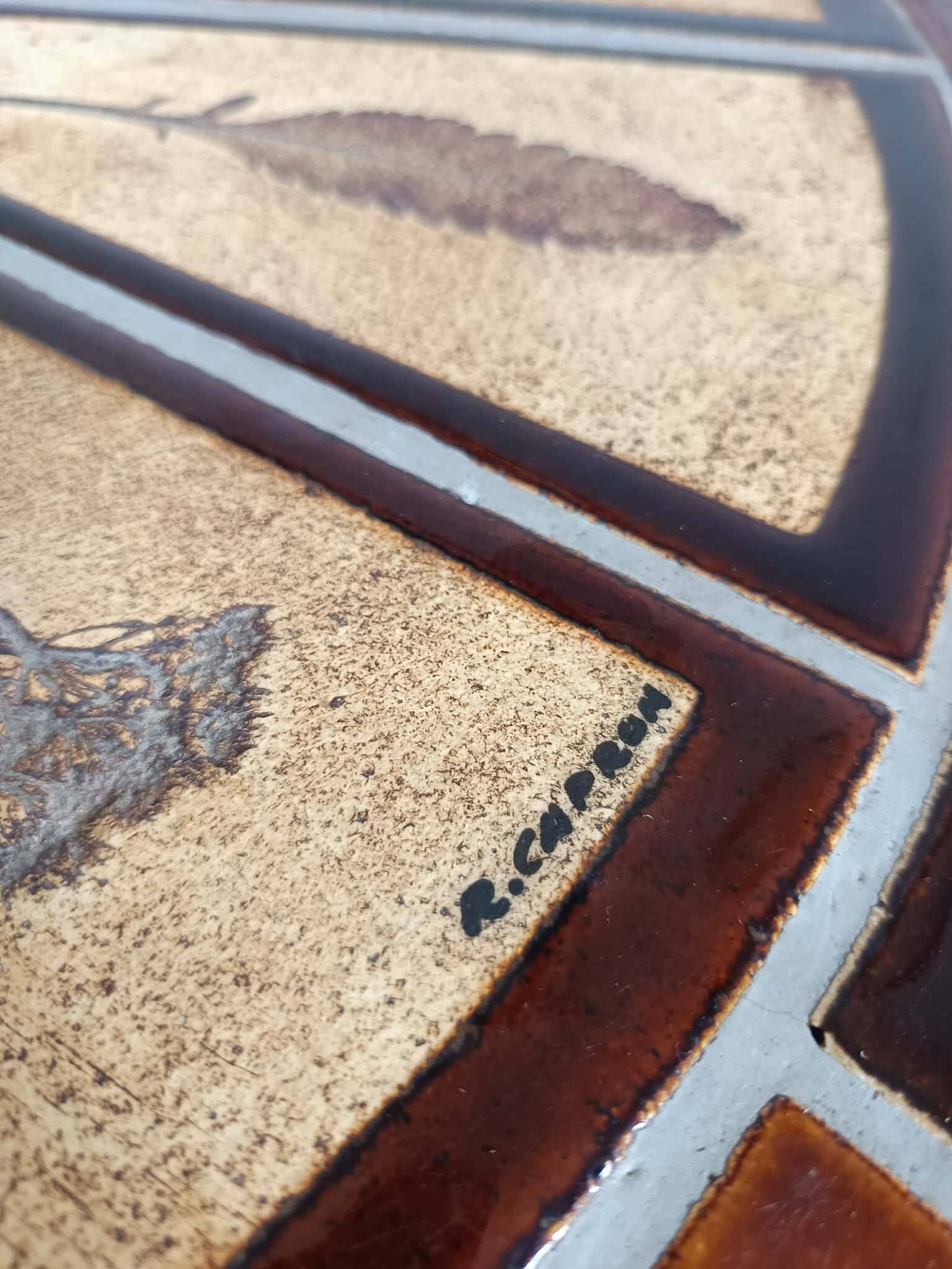 Herbarium coffee table by Roger Capron 1960