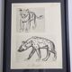 Illustrated plate, Studies of a lion cub and a hyena, Signed A. Margat, 1930