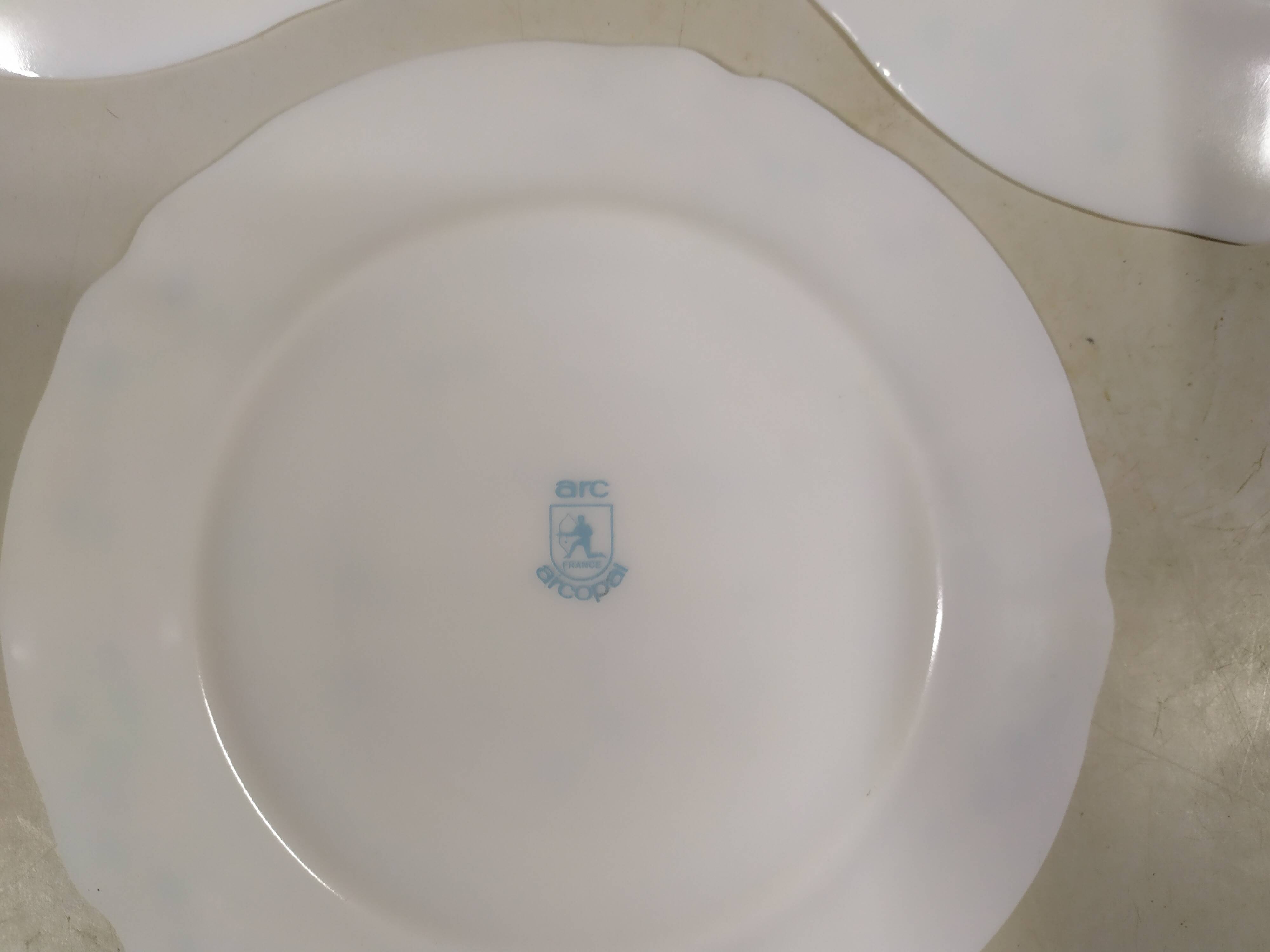 Lot de 6 assiettes plate Arcopal Véronica Myosotis fleur bleu vintage