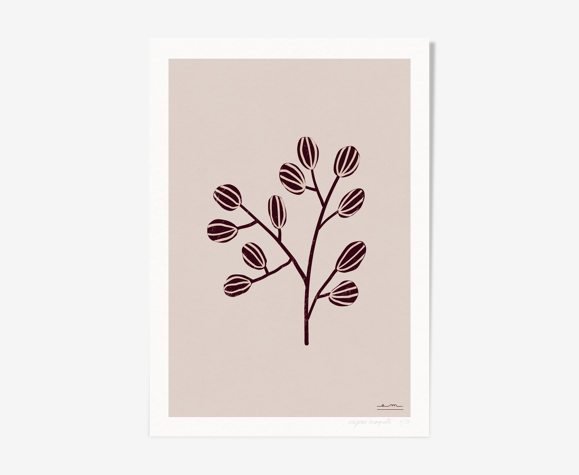 Illustration "Herbier moderne" #3