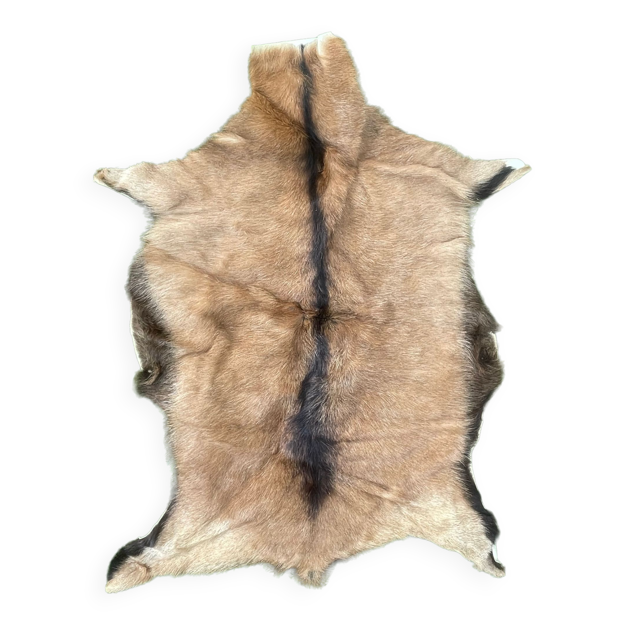 carpet in real goatskin. leather. approx. 102 x 72 cm
