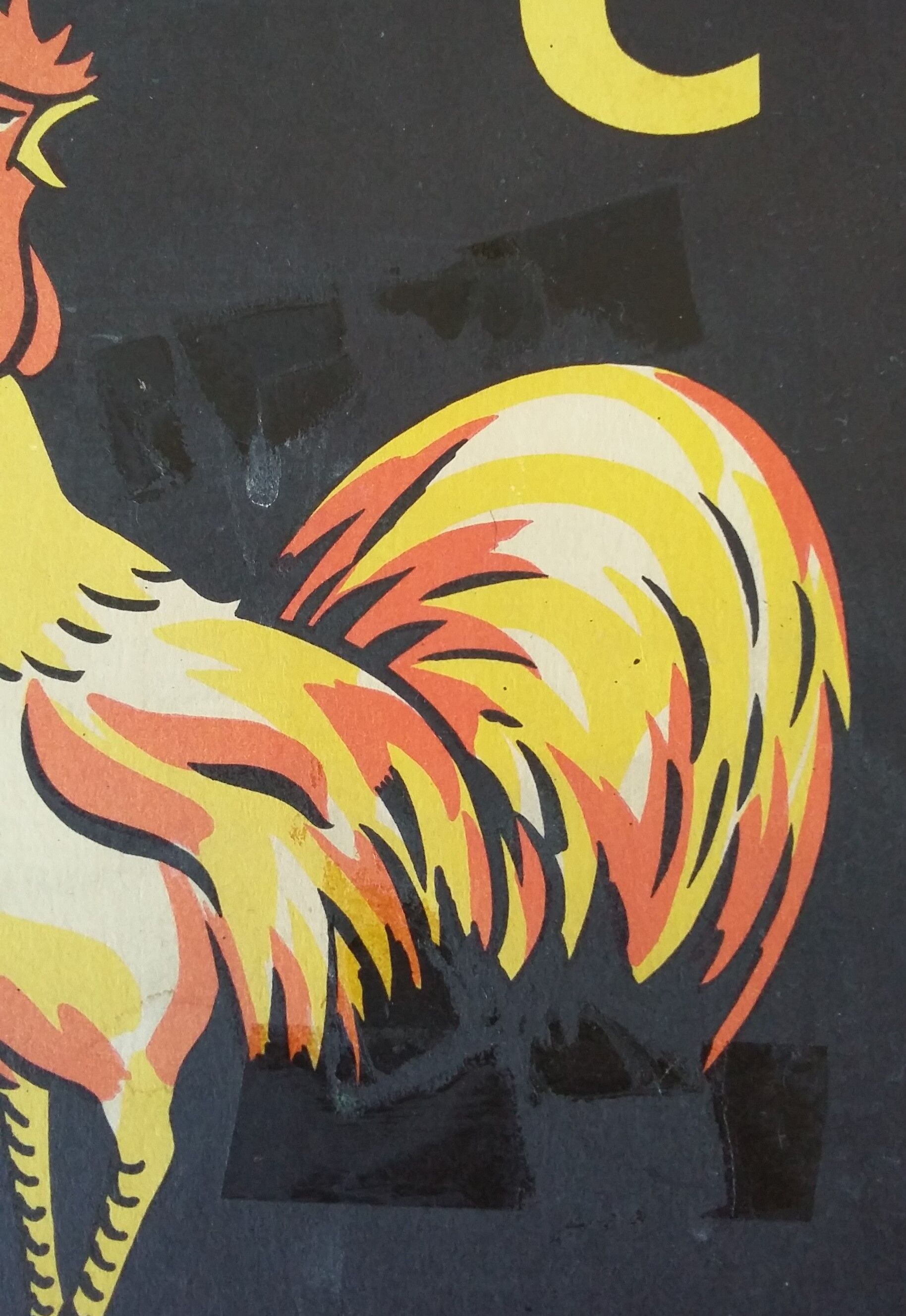 The rooster, reading image