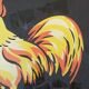 The rooster, reading image
