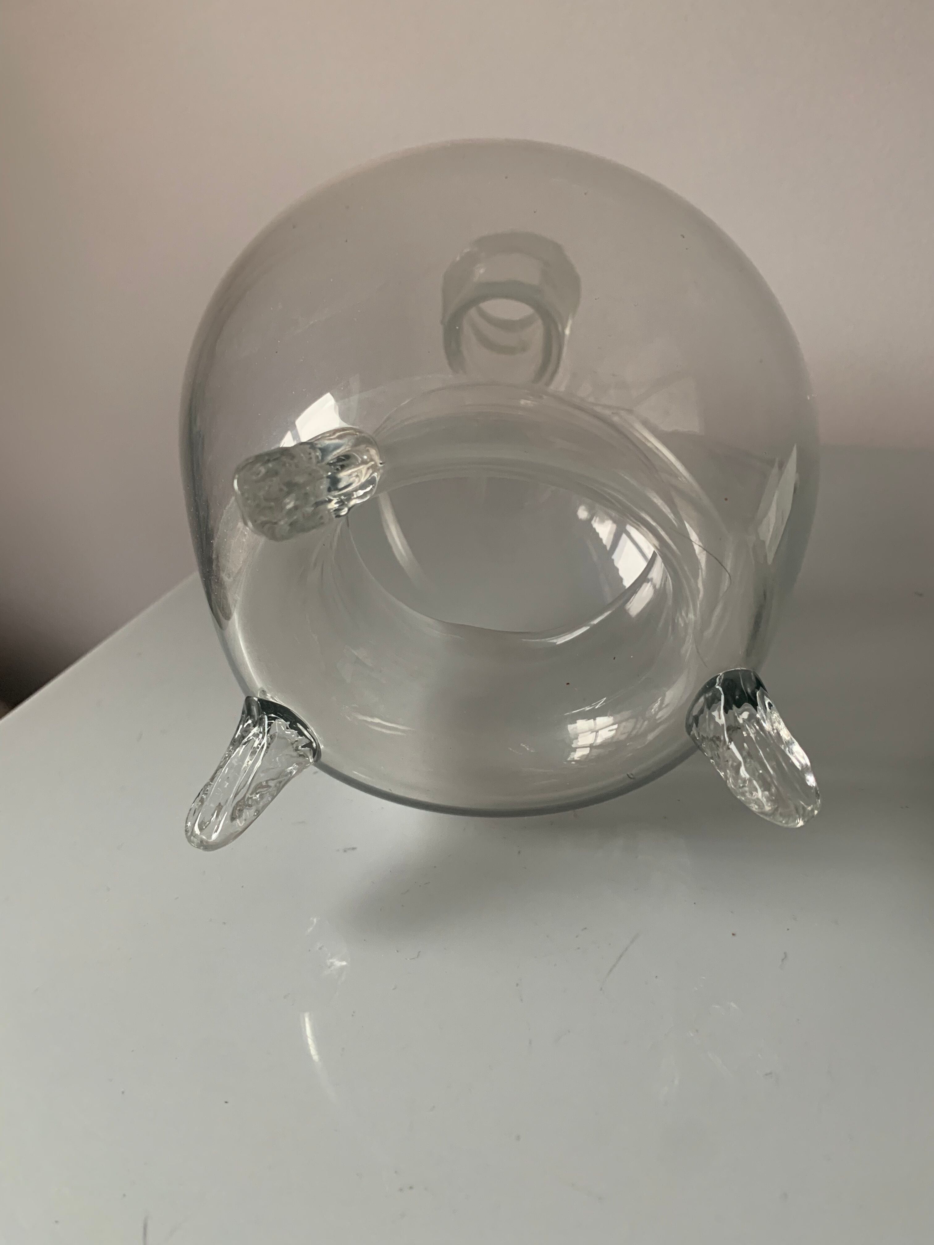 Old glass insect trap