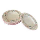 6 Myott Meaking English earthenware soup plates, Spring Fields decor