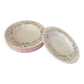 6 assiettes creuses faïence anglaise Myott Meaking décor Spring Fields
