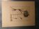 Rare Engraving XVII - Nicolas Robert (Painter to the King) - The Amaryllis Royal