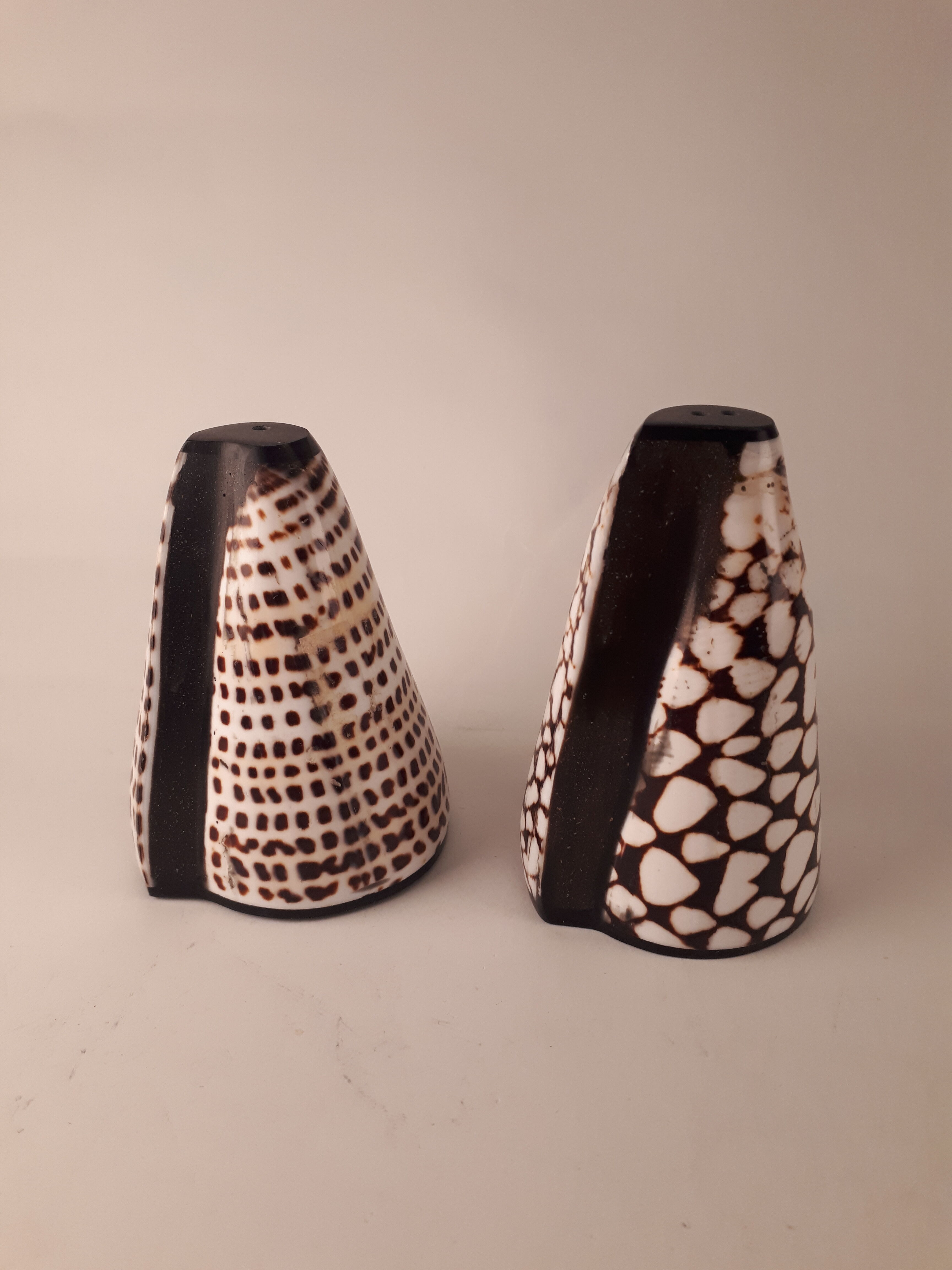 salt salt shaker sea shell real vintage nature curiosity