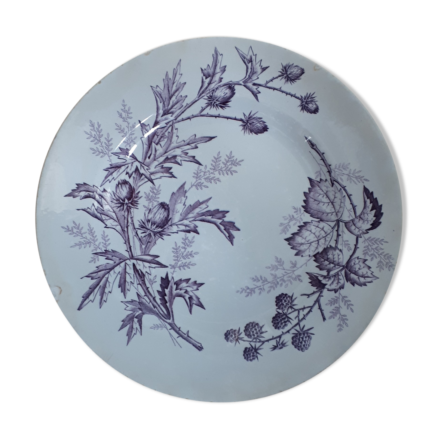 Flora BFK purple plate