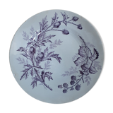 Flora BFK purple plate