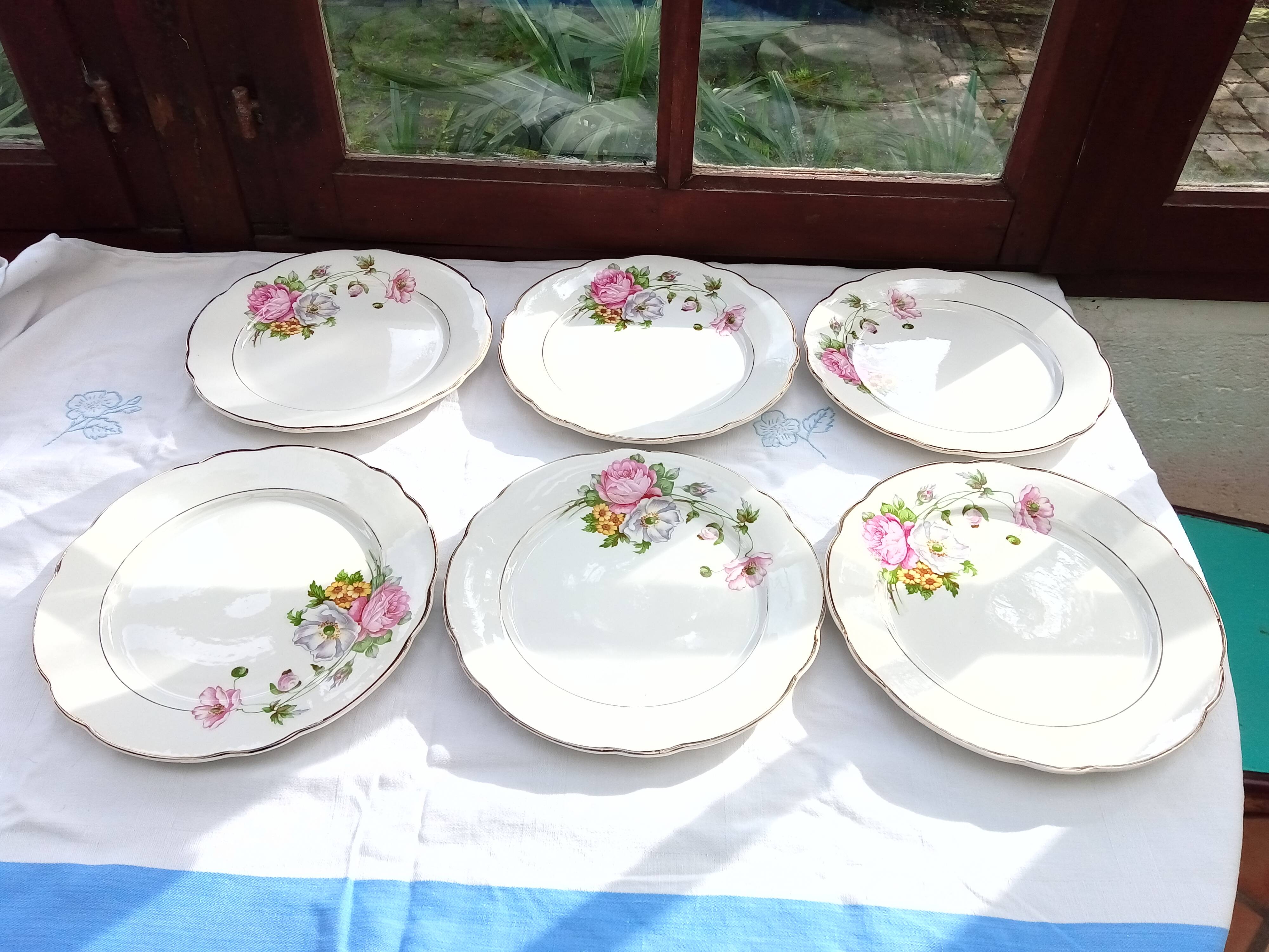 6 Anemone / Digoin flat plates