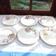 6 Anemone / Digoin flat plates