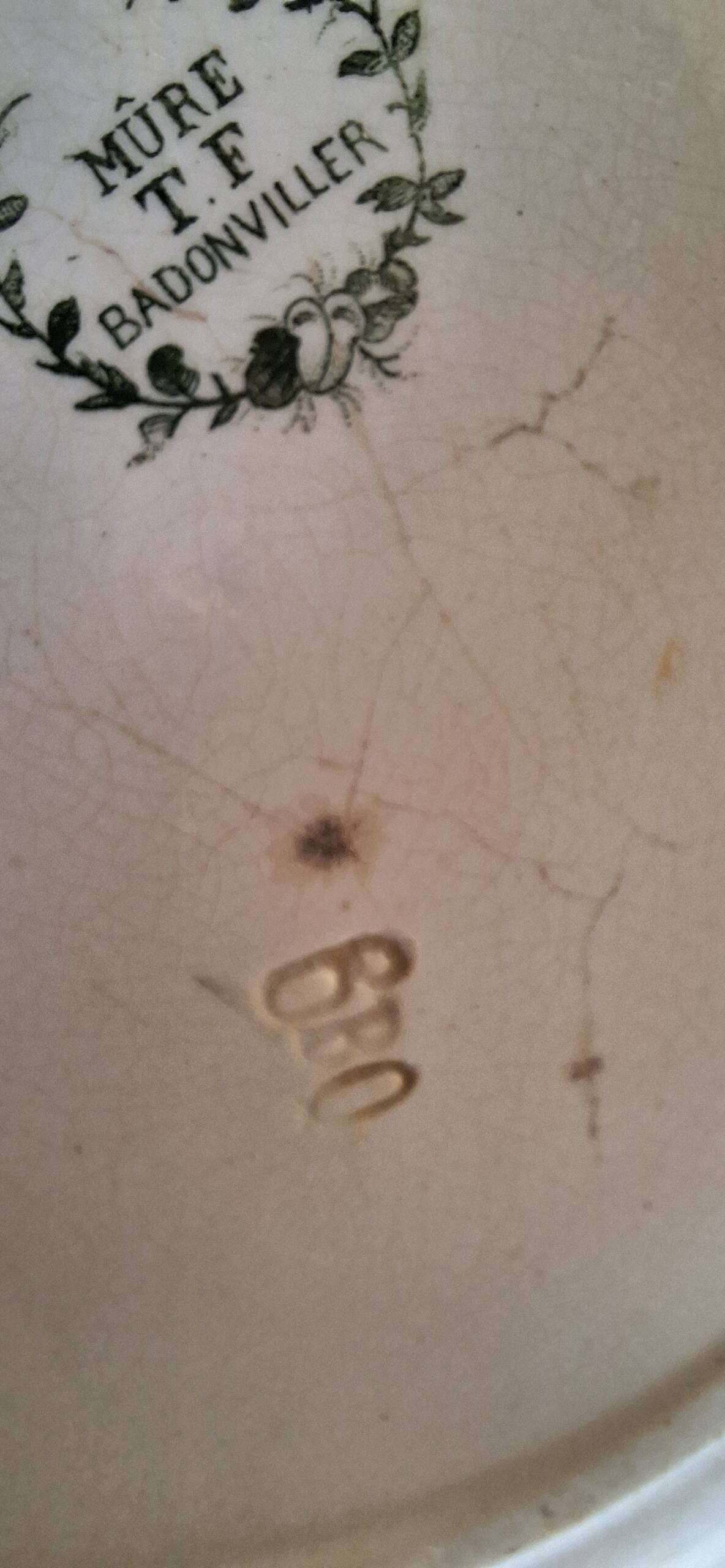 Badonviller earthenware plate