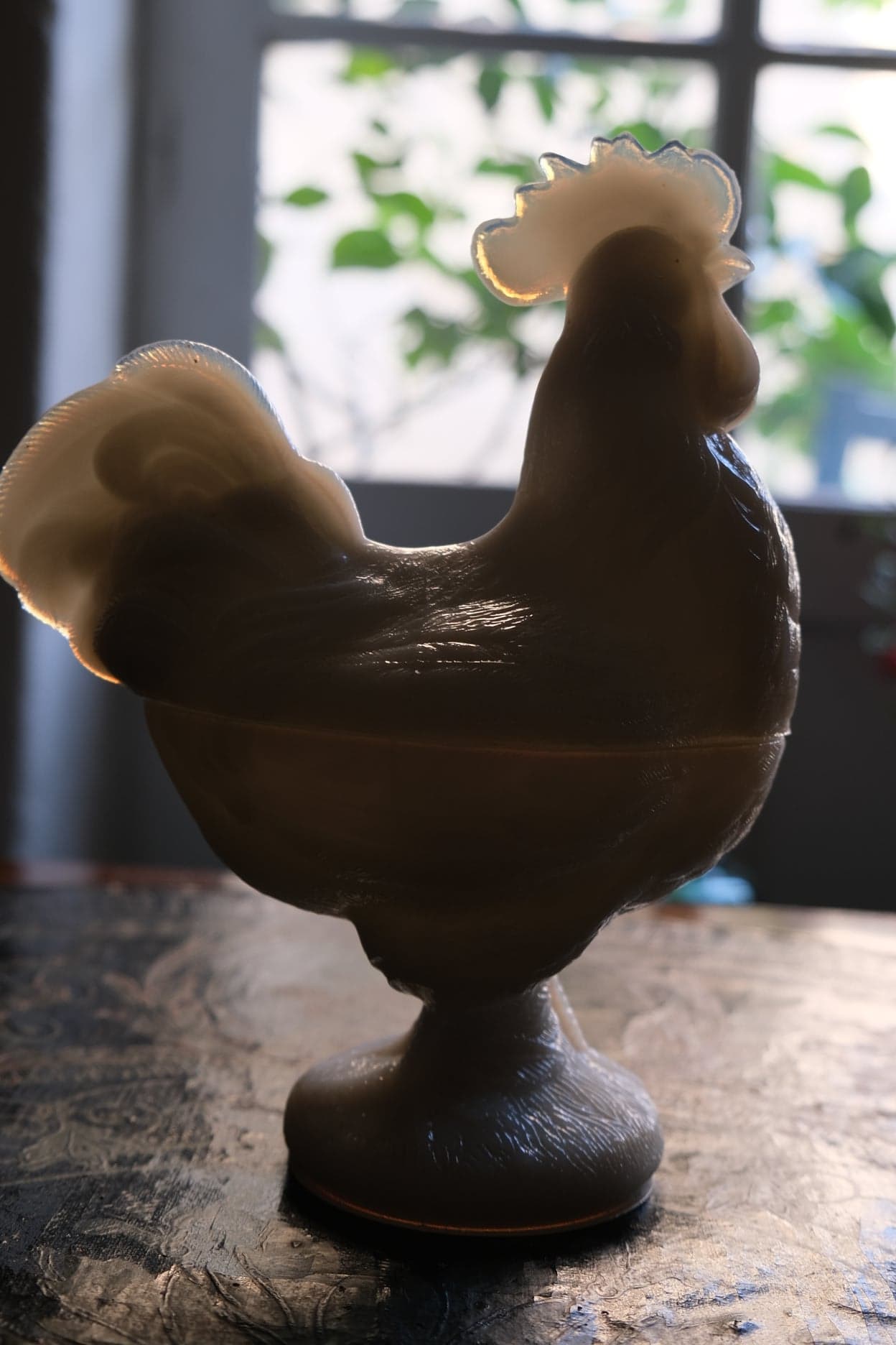 Opaline fair rooster