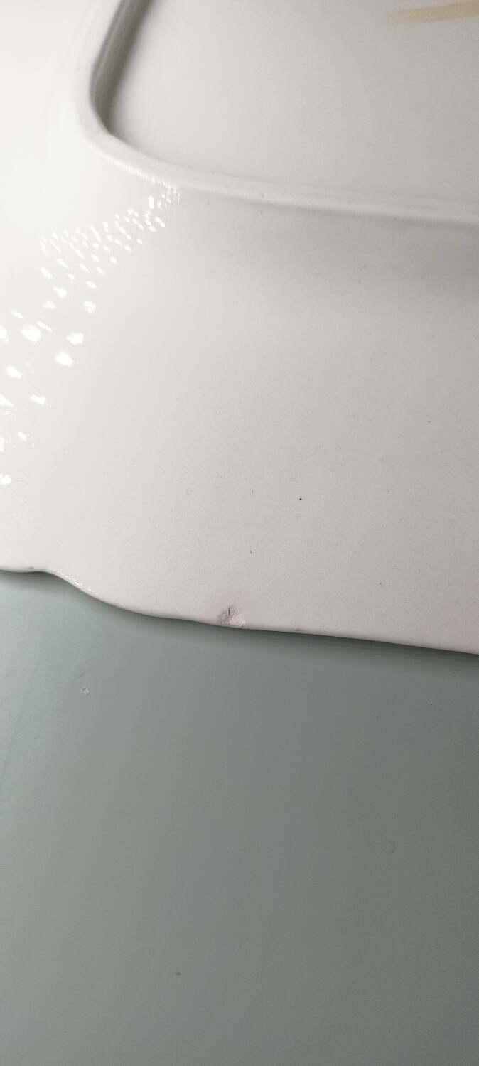 Old Sarreguemines dish