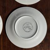 Set of 4 Italian ceramic plates in green, orange, and yellow splashes D20.