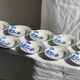 Set of 14 antique deep plates Moulin des Loups Hamage Model Edmond