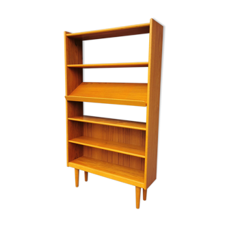 Scandinavian teak library