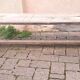Pair of solid raw wood benches XIX