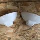 Old pair wall lamp art deco