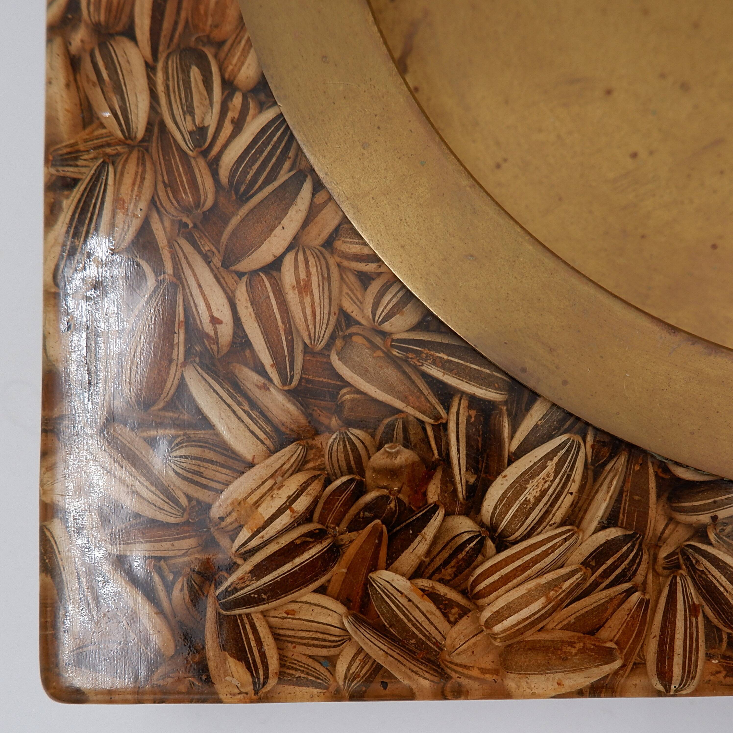 Large square brass and epoxy trinket tray with seed inclusions