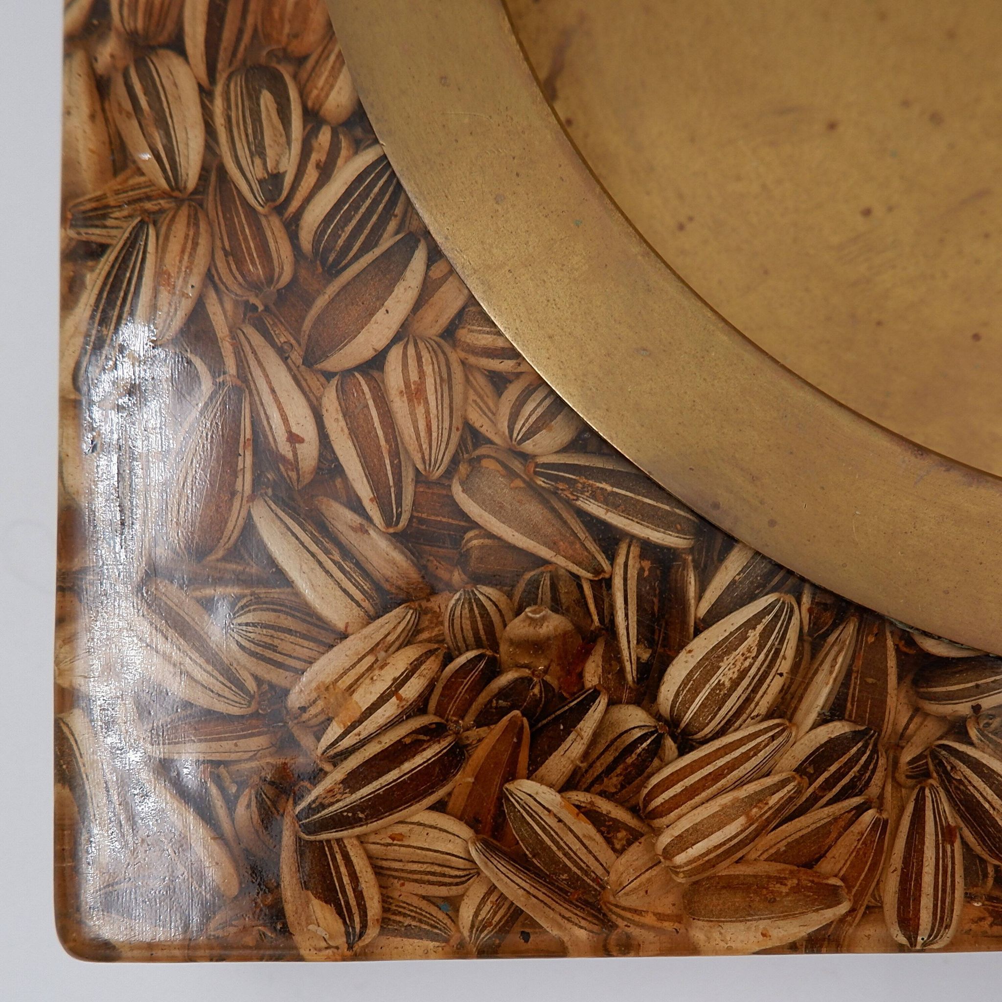 Large square brass and epoxy trinket tray with seed inclusions