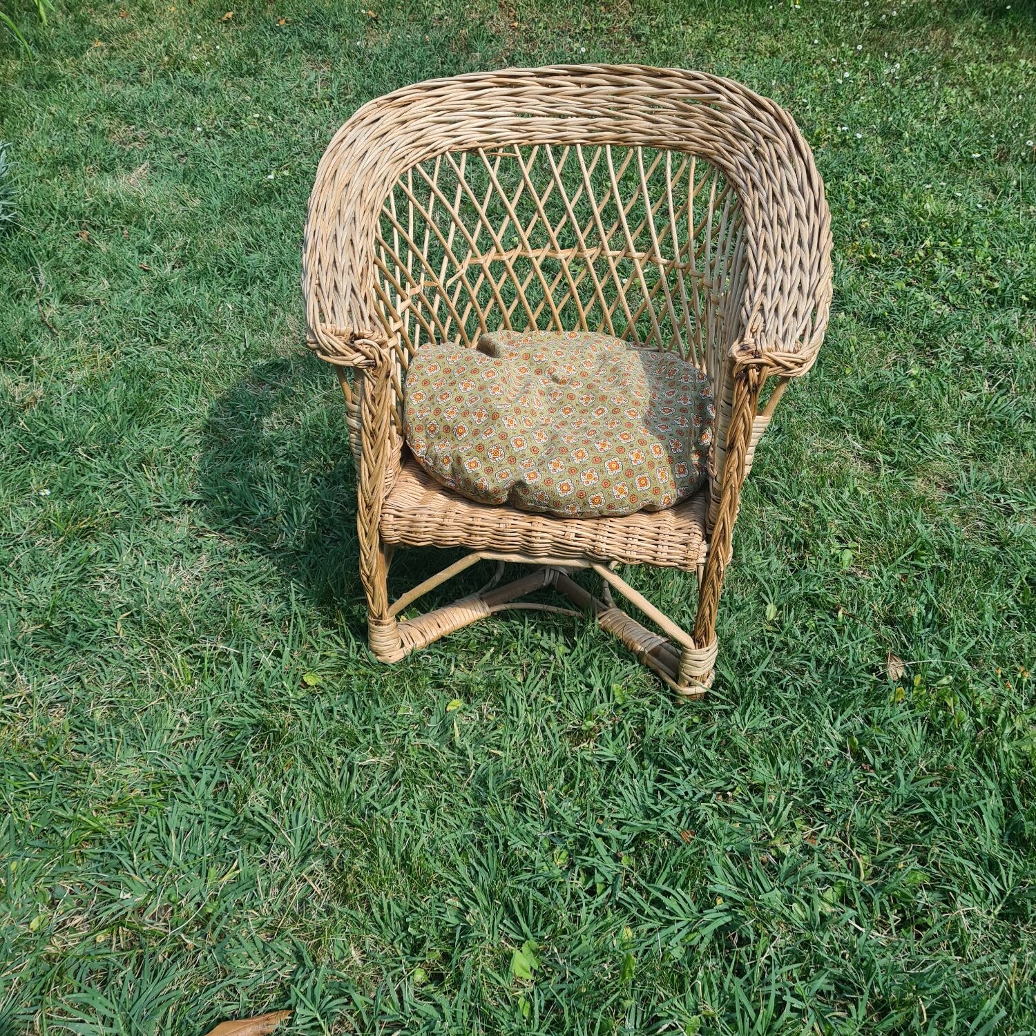 Rattan armchair with cushion