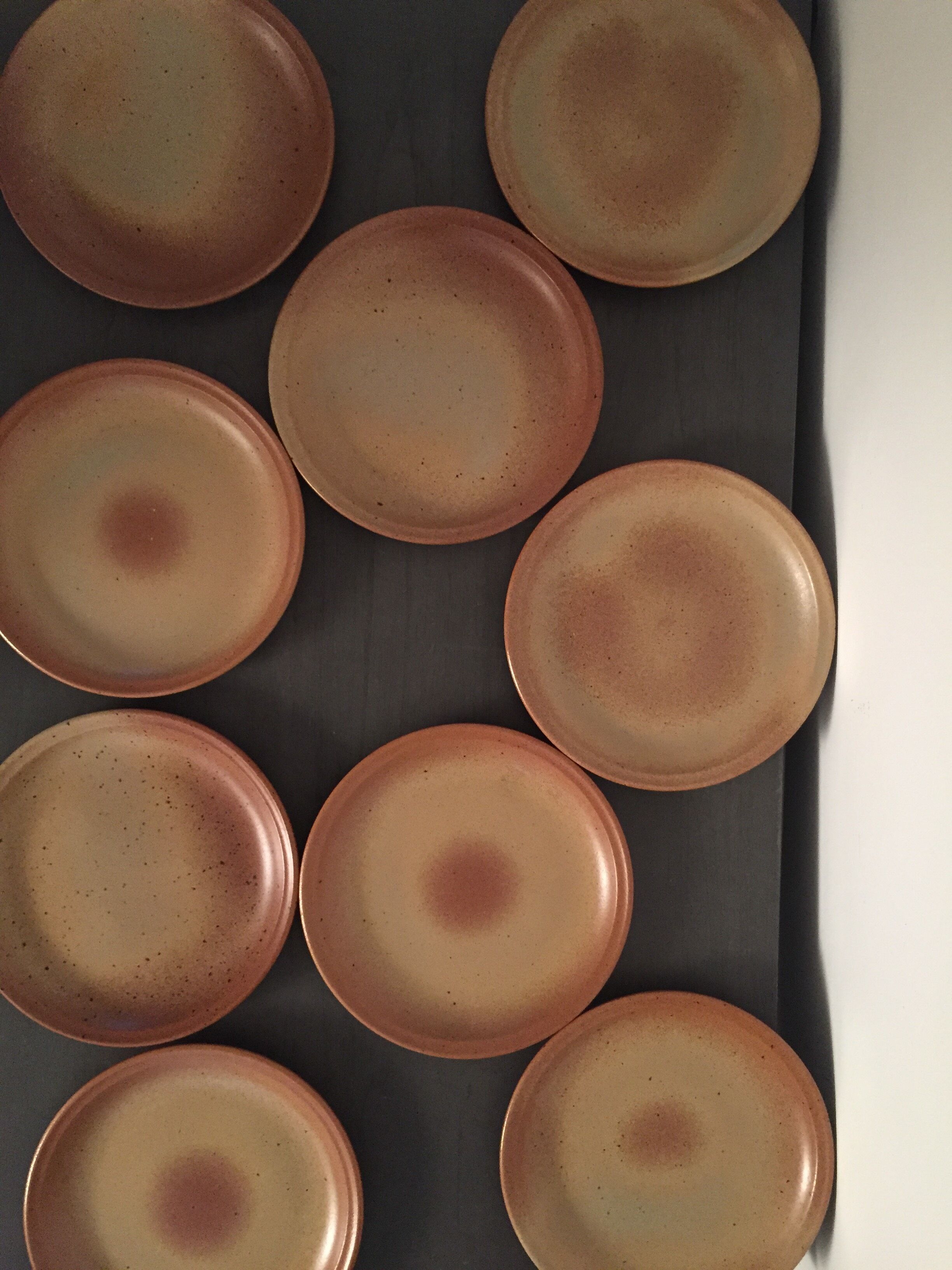 Lot of 9 dinner plates in sandstone "Sarreguemines"