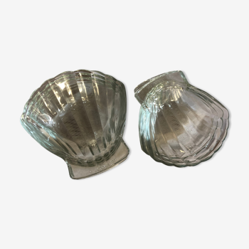 Scallop shell cup
