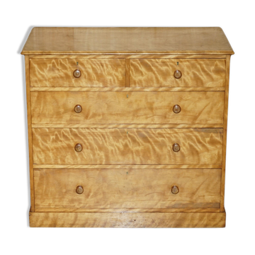 Commode Victorienne en Bouleau Satiné Holland & Sons 1880
