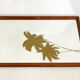 Wall mirror décor golden coconuts