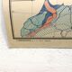 Map N ° 18 j. Brunhes North Africa