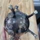 Silver-plated tea set