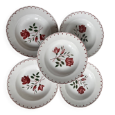 5 floral deep plates