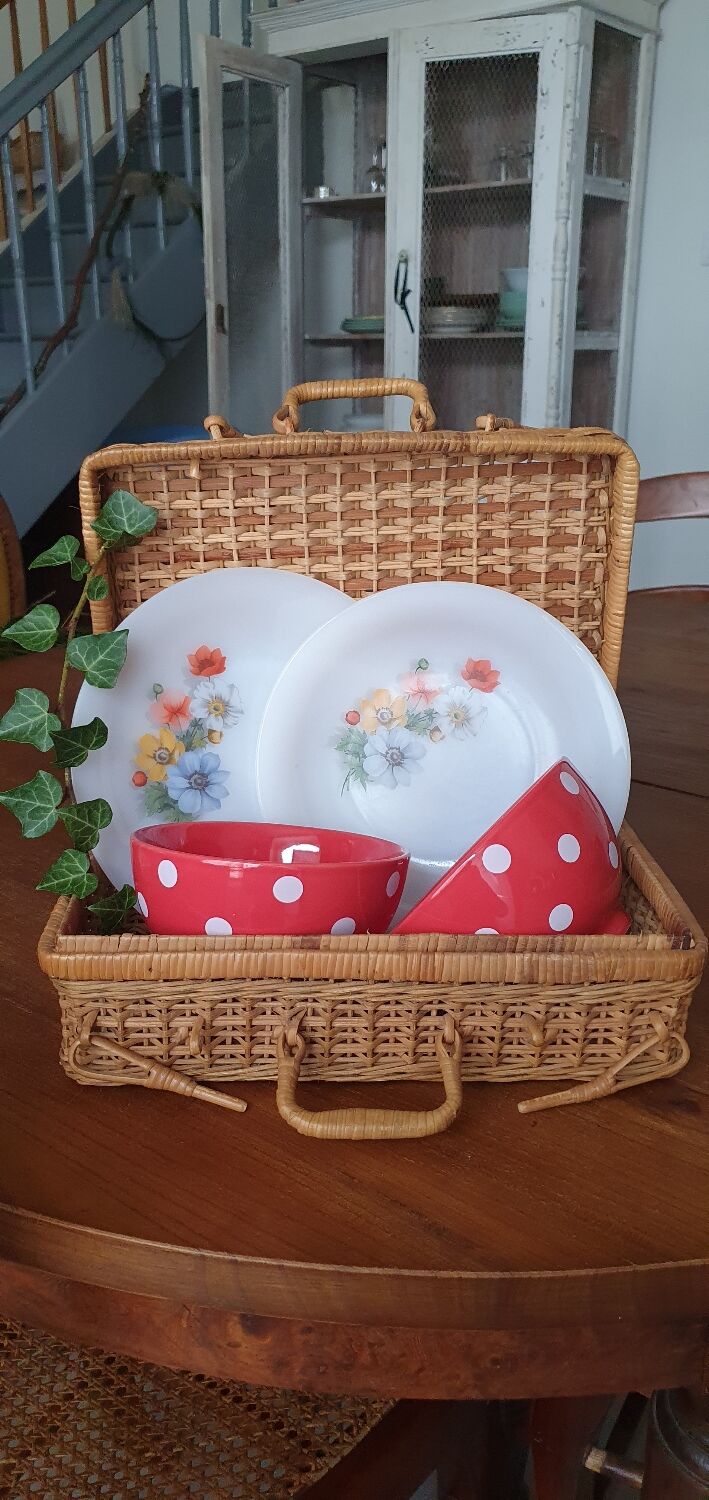 Wicker suitcase