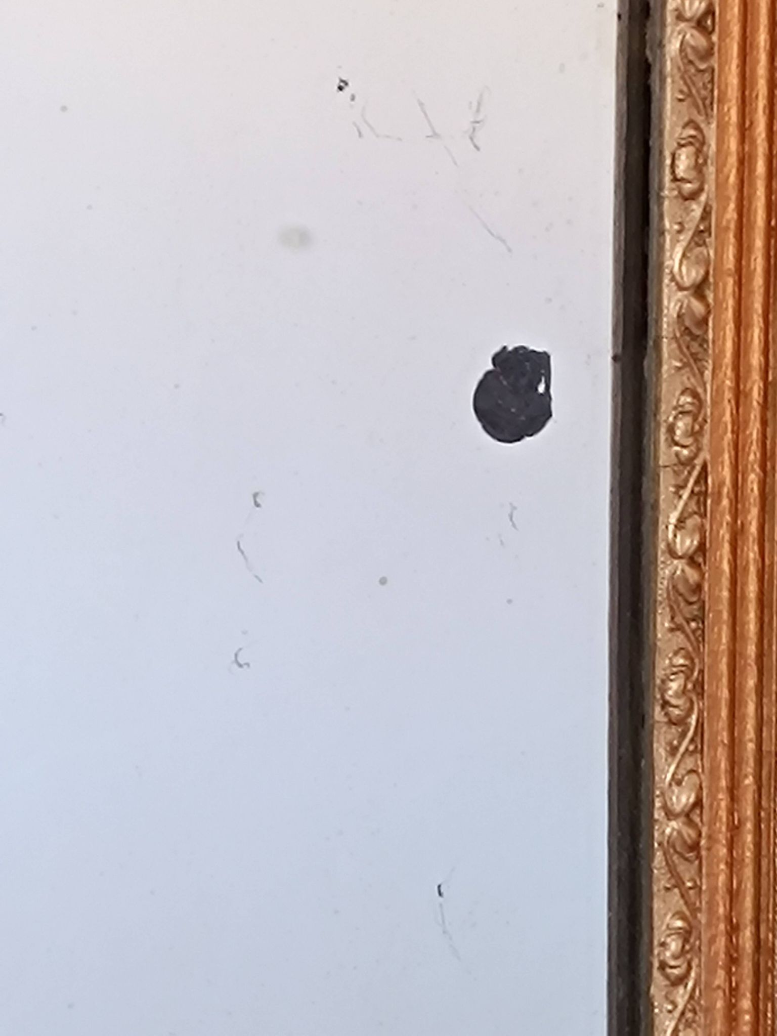 Napoleon III mirror with rich gilded ornamentation