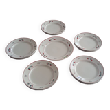 Service 14 plates 1 ceramic dish from St Amand