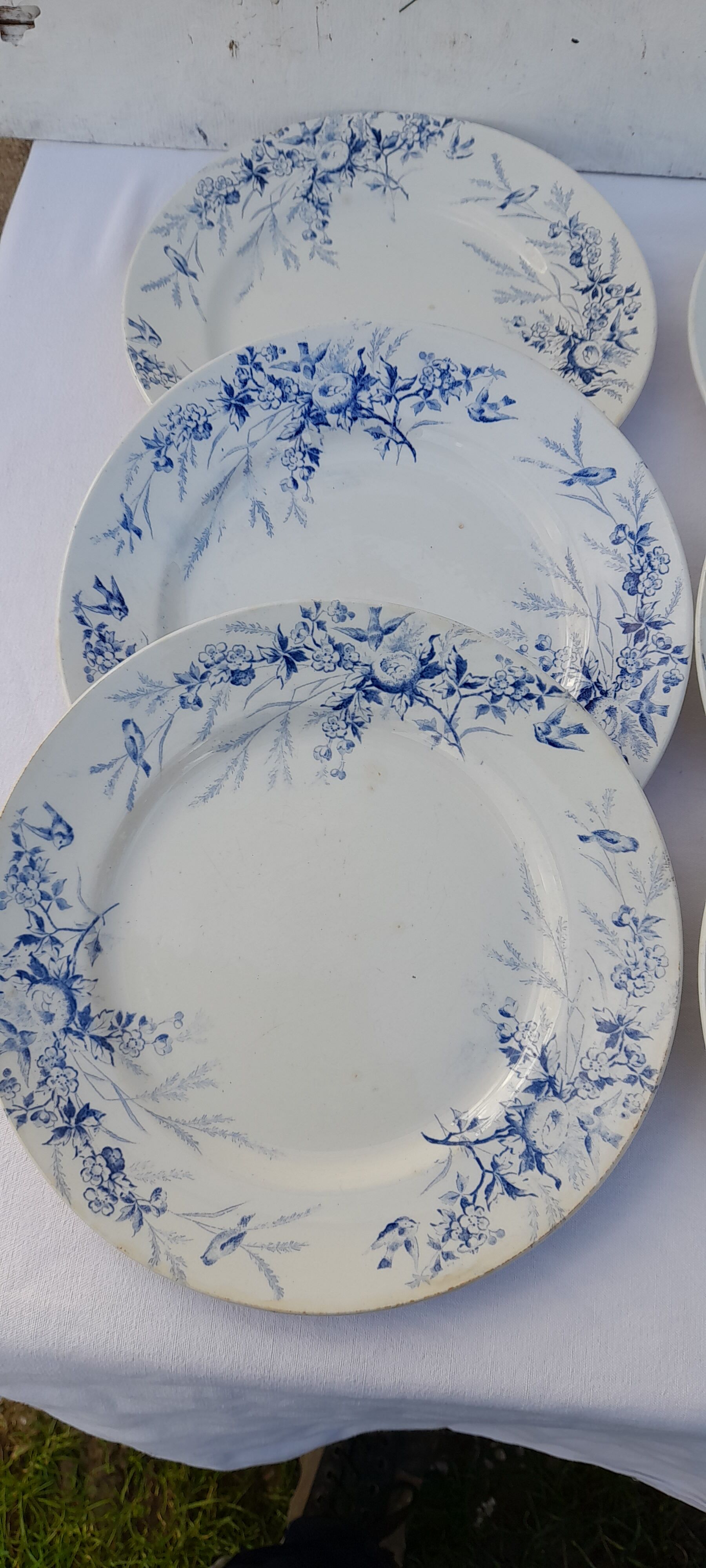 8 flat earthenware plates Creil and Montereau late nineteenth diam 23 cm