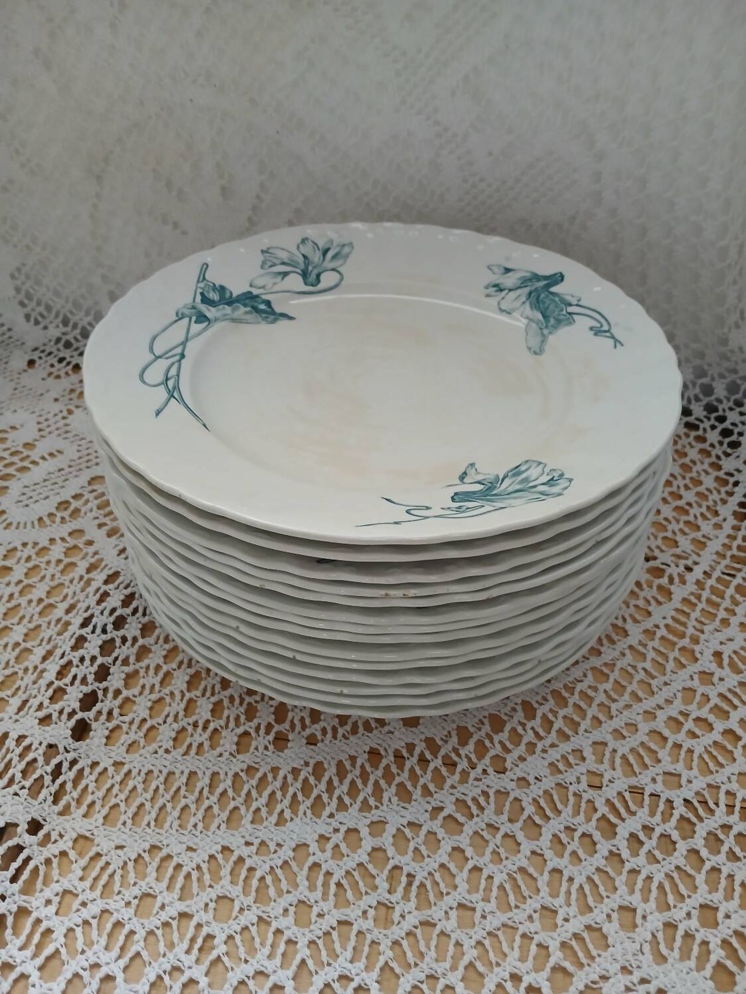 12 assiettes plates anciennes en Terre de fer 