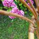 Vintage rattan chair